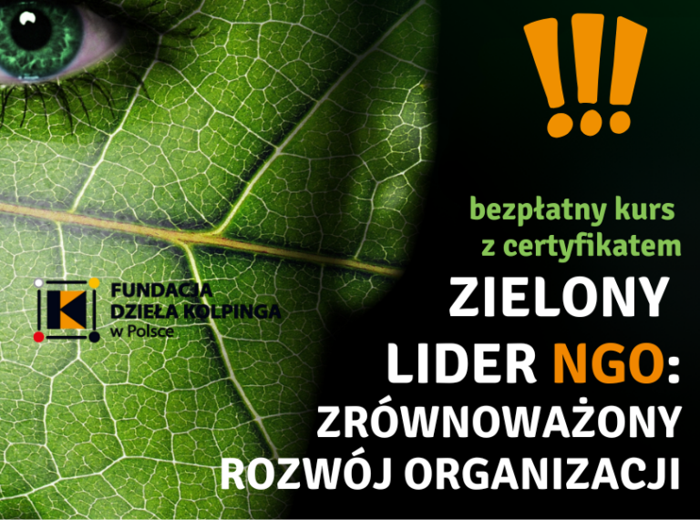 Weź udział w Kursie „Zielony Lider NGO: Zrównoważony Rozwój Organizacji”