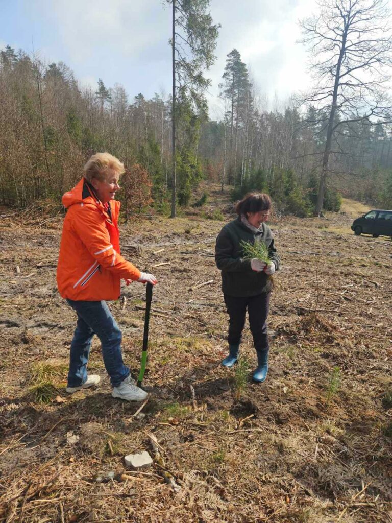 Dwie kobiety pracują na leśnej polanie podczas sadzenia drzew. Jedna z nich, w pomarańczowej kurtce, trzyma szpadel i przygotowuje ziemię, druga – w ciemnej kurtce i kaloszach – trzyma w dłoniach sadzonki młodych drzew. W tle widać rzadki las i zaparkowany samochód, a teren wygląda na świeżo przygotowany pod nasadzenia.